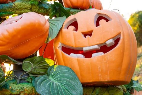 Smiling Decorative Jack-O’-Lantern Pumpkin with Leaves in Sunlight Stock Photos
