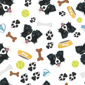Smiling Dog Border Collie. Illustrazione stock