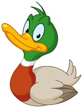 Smiling duck Stock Illustration