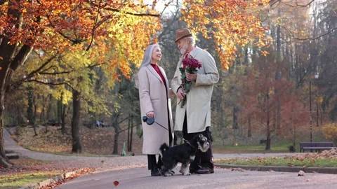 Smiling elderly gray-haired man bringing beautiful bouquet to charming old lady Stock Footage 205084997