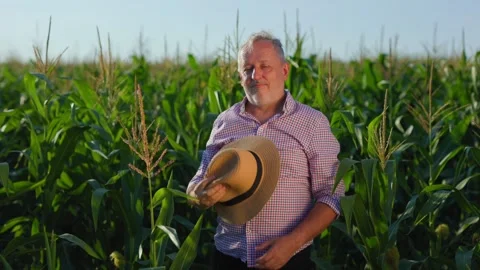 Smiling elderly male farmer standing on lush corn Stock Footage 249281953