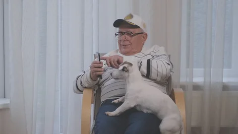 Smiling elderly man shows smartphone screen to white dog Stock Footage 127580824