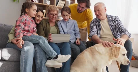 Smiling extended family using tablet at home with grandparents parents kids dog Stock Footage 341675166