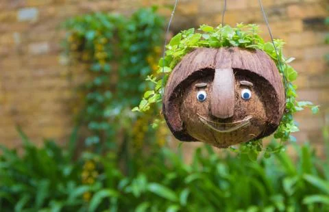 Smiling face coconut Stock Photos