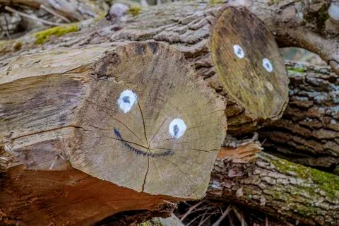 Smiling face on logs Stock Photos