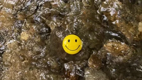 A smiling face in the pure water Stock Footage 160223042
