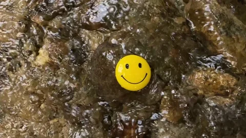 A smiling face in the pure water Stock Footage 160223057