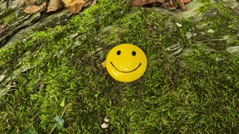 A smiling face in the woods on moss Stock Footage 160223038