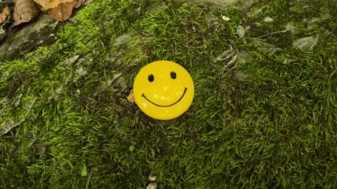 A smiling face in the woods on moss Stock Footage 160223070