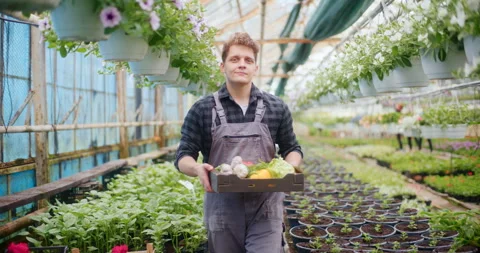 Smiling Farmer Holding Vegetables Video stock 308241147