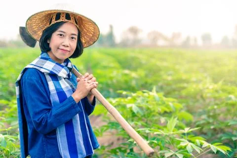 Smiling female tapioca farmer  Stock Photos