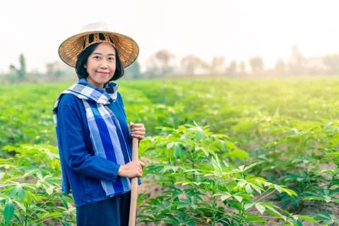 Smiling female tapioca farmer  Stock Photos
