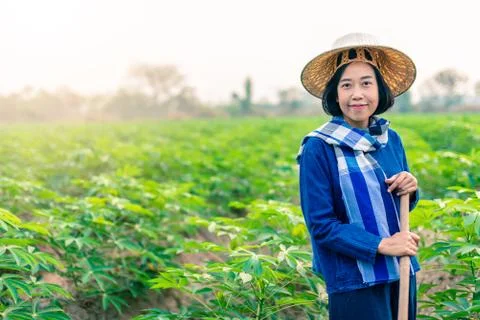 Smiling female tapioca farmer  Stock Photos