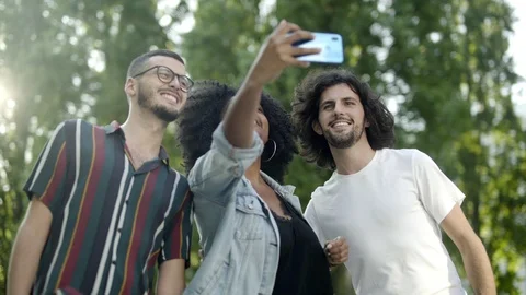 Smiling friends posing for self portrait in park Vídeos de archivo 113950772