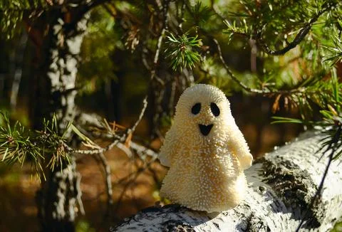 A smiling ghost toy close-up stands on a birch bark in the forest and sunlit Stock Photos