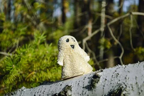 A smiling ghost toy close-up stands on a birch bark in the forest and sunlit Stock Photos