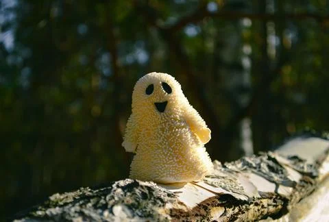 A smiling ghost toy close-up stands on a birch bark in the forest and sunlit Foto stock