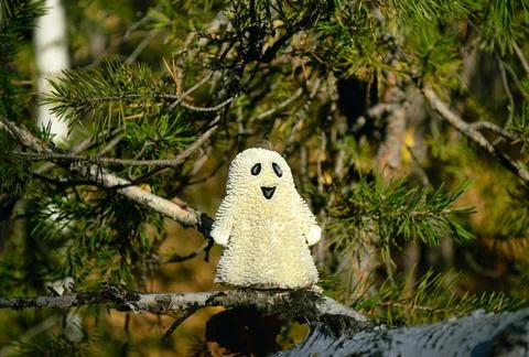 A smiling ghost toy close-up stands on a birch bark in the forest and sunlit Foto stock