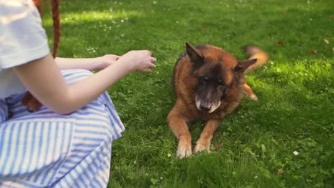 Smiling ginger lady taking free time with her big dog. Woman relaxing at nature Stock Footage 142601009