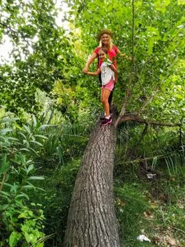 Smiling girl posing in a tree Stock Photos