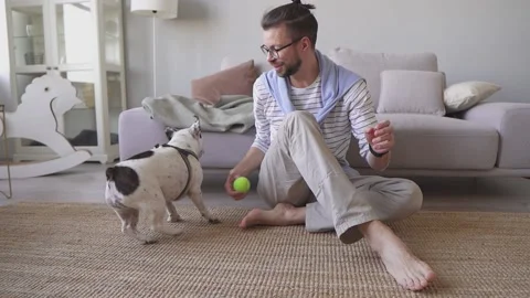 A smiling guy sitting on the floor playing ball with French bulldog Stock Footage 155563123