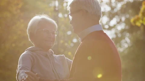 Smiling healthy old couple dancing in the park on a sunny day Stock Footage 229814101