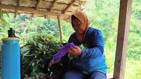 Smiling Indonesian farmer. Stock Footage 321940699