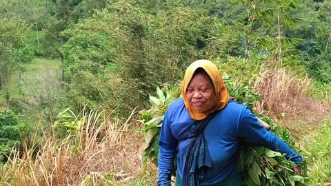 Smiling Indonesian middle-aged farmer woman. Stock Footage 321940652