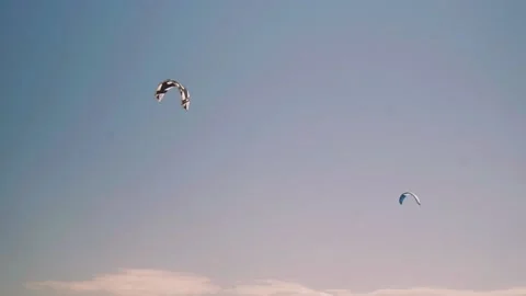 The smiling kites in the sky. Stock Footage 130728875