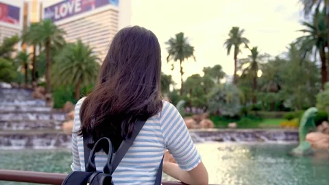 Smiling lady seeing pond on sunset Stock Footage 133400968