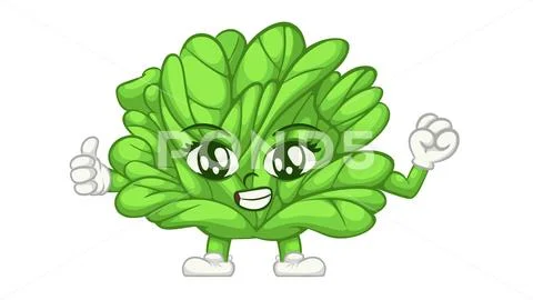 Smiling Lettuce Cartoon Mascot with Thumbs Up Gesture Template PSD