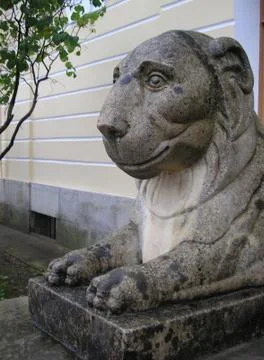 Smiling lion Stock Photos