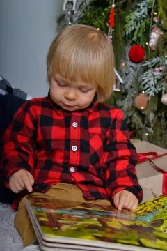 Smiling little boy reading a book near the Christmas tree. Child sitting near Stock Photos