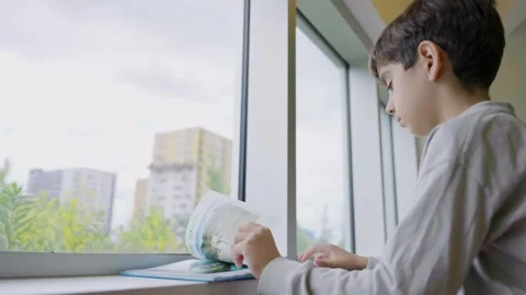 Smiling little student reading a book in front of the window Stock Footage 242607906
