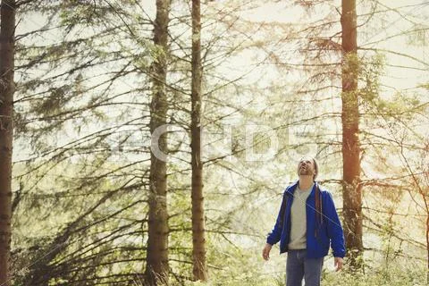 Smiling man hiking looking up at trees in sunny woods Stock Photos