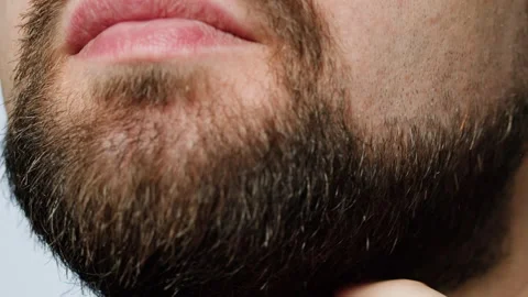 Smiling man portrait, Close up head shot portrait of middle aged bearded male Stock Footage 281662879