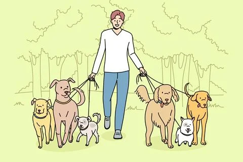 Smiling man walk dogs on leashes 库存插图