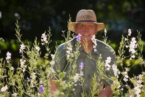 Smiling mature man looking at the camera through flowers in a garden - focus Stock Photos