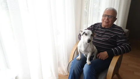 Smiling old man pets white dog sitting at window in room Video stock 110834958