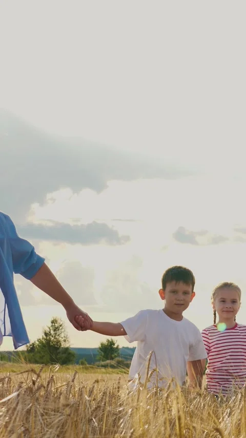 Smiling parents and children going at dry wheat countryside sunny sky field Stock Footage 314290446