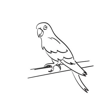 Smiling parrot on tree illustration vector hand drawn isolated on white Illustrazione stock