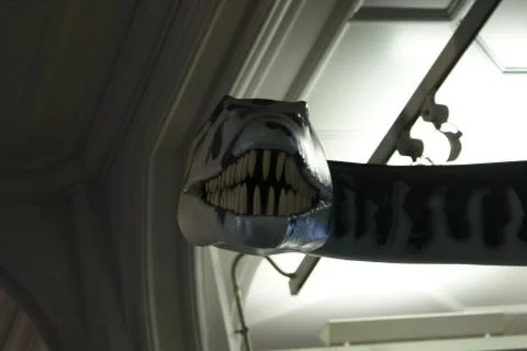 A Smiling Pliosaur Stock Photos