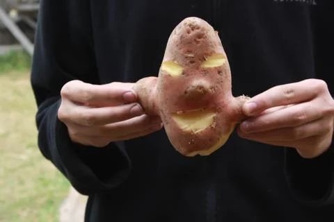 Smiling potato Stock Photos