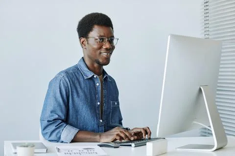Smiling Professional using Computer Minimal 스톡 사진