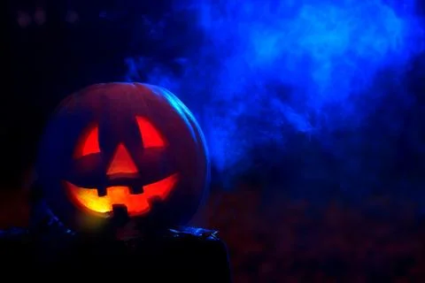 Smiling pumpkin for Halloween in dark at forest. Stock Photos