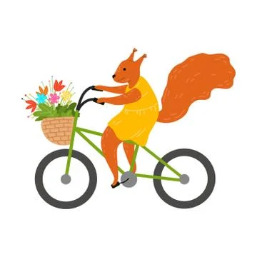 Smiling red squirrel riding bicycle and carrying flowers in basket Illustrazione stock