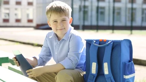  Smiling schoolboy of an elementary school. Funny child on the background of sch Stock Footage 78919907