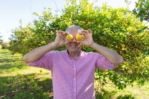 Smiling senior man with two lemons in his eyes in an organic lemon orchard... Stock Photos