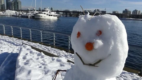 Smiling snowman face sea background Stock Footage 72520016