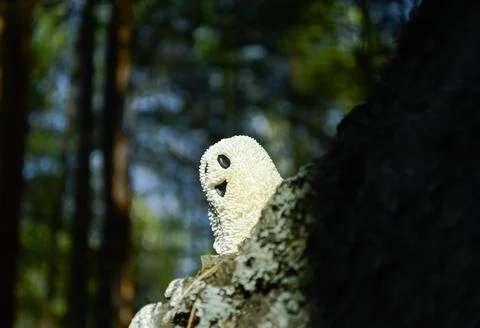 A smiling toy ghost peeks out from behind the bark of a tree in the forest Stock Photos